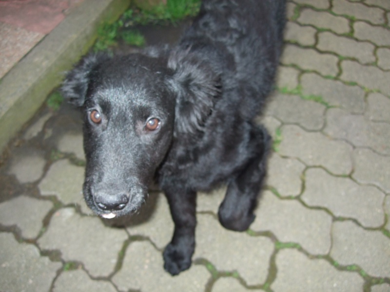 Ostern 2007 Orleshausen 008 